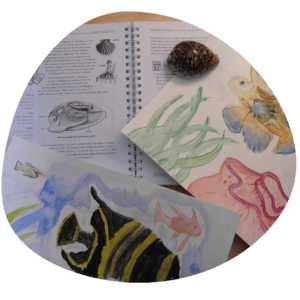 Print-based | Curriculum Samples | Oak Meadow 
